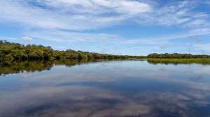 Amazônia
